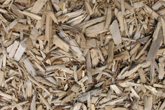 biomass boilers Blitterlees