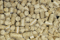 Blitterlees biomass boiler costs