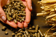 free Blitterlees biomass boiler quotes