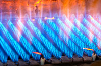 Blitterlees gas fired boilers